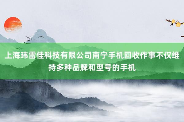 上海玮雷佳科技有限公司南宁手机回收作事不仅维持多种品牌和型号的手机