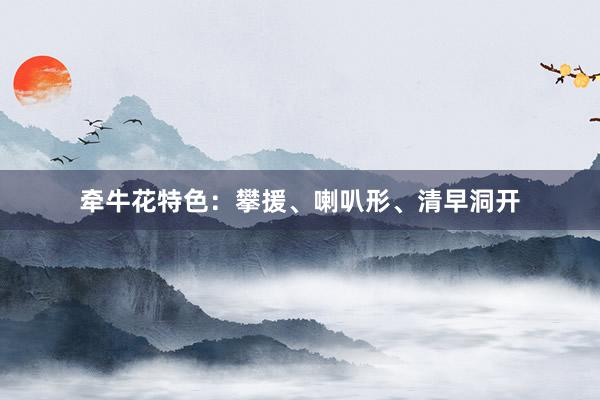牵牛花特色：攀援、喇叭形、清早洞开