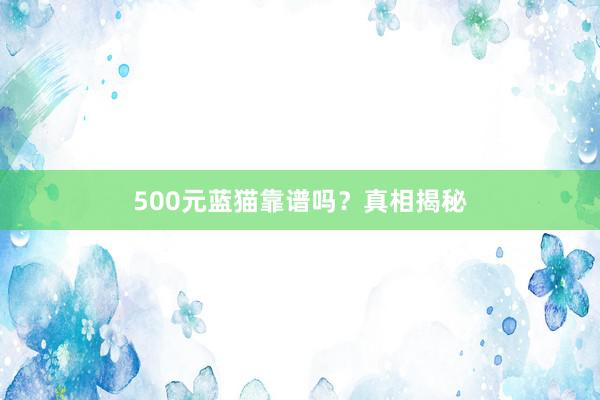 500元蓝猫靠谱吗？真相揭秘